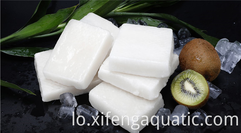 Squid Block Squid Block